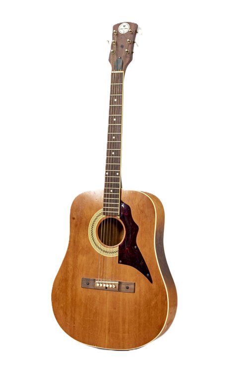 TrueTone Acoustic Guitar