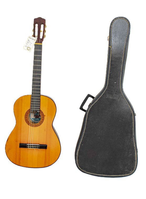 Parrot Classical Acoustic Guitar w/ Case