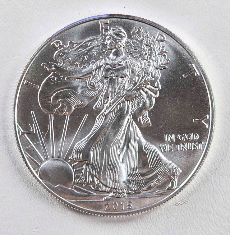 2015 American Silver Eagle One Ounce Coin