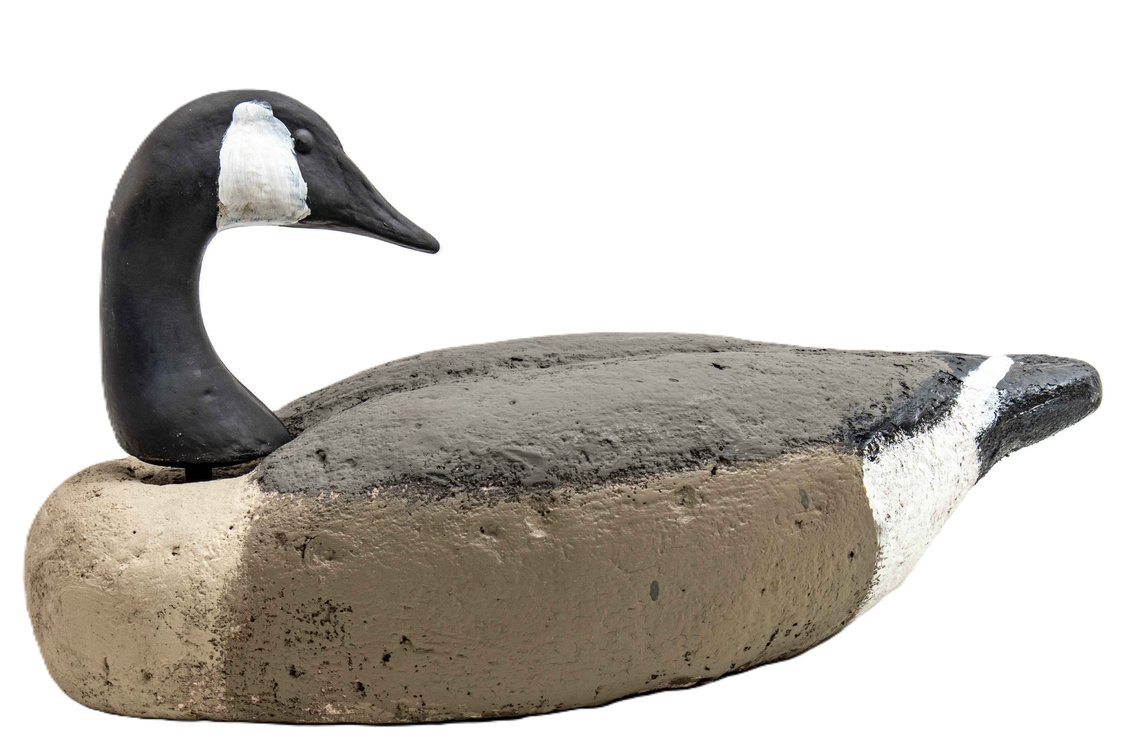 Canadian Goose Decoy- With Swivel Head