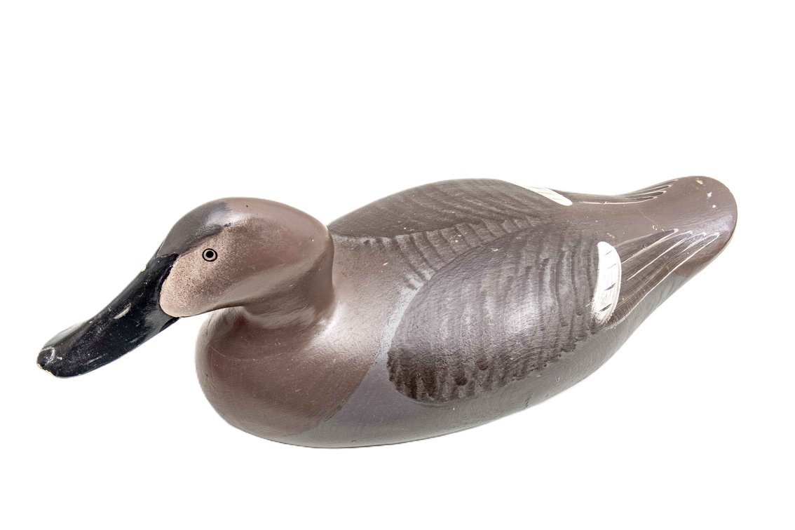 Canvas Back Hen Duck Decoy- Wooden, Hand-painted