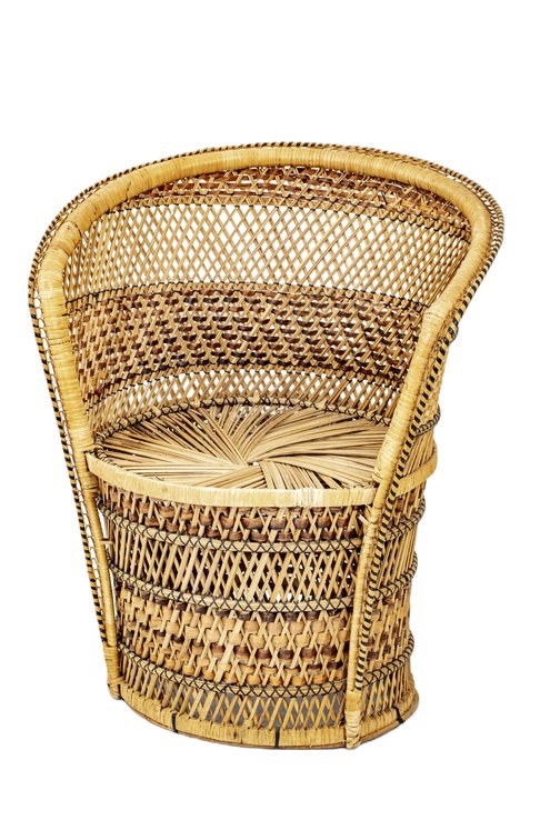 Peacock Barrel Chair