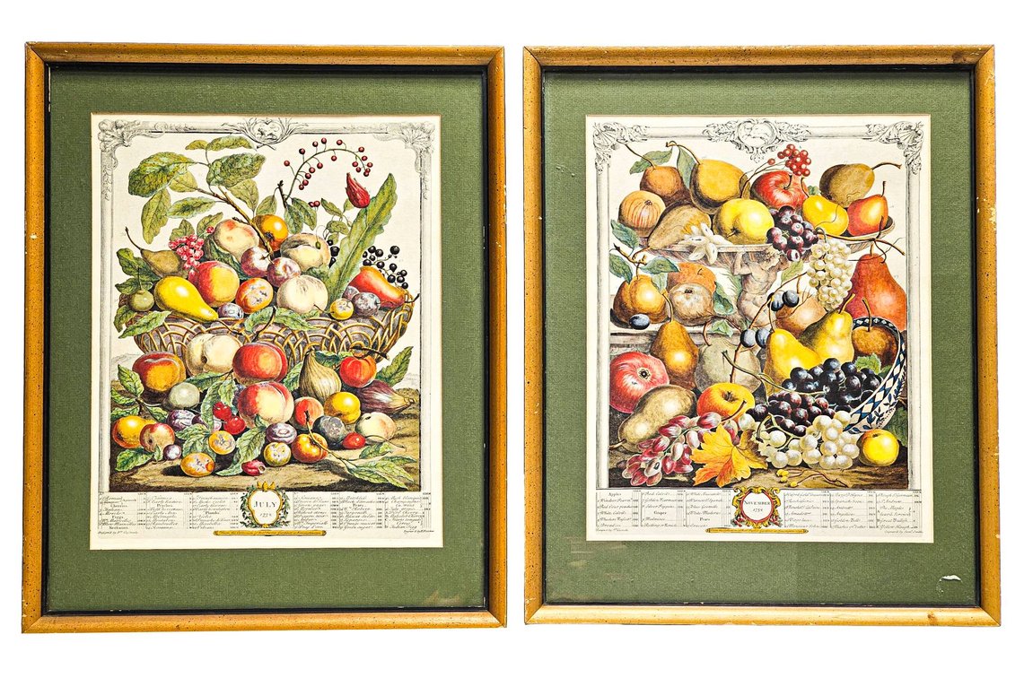 Framed  Robert Fuber Botanical Fruit Engravings