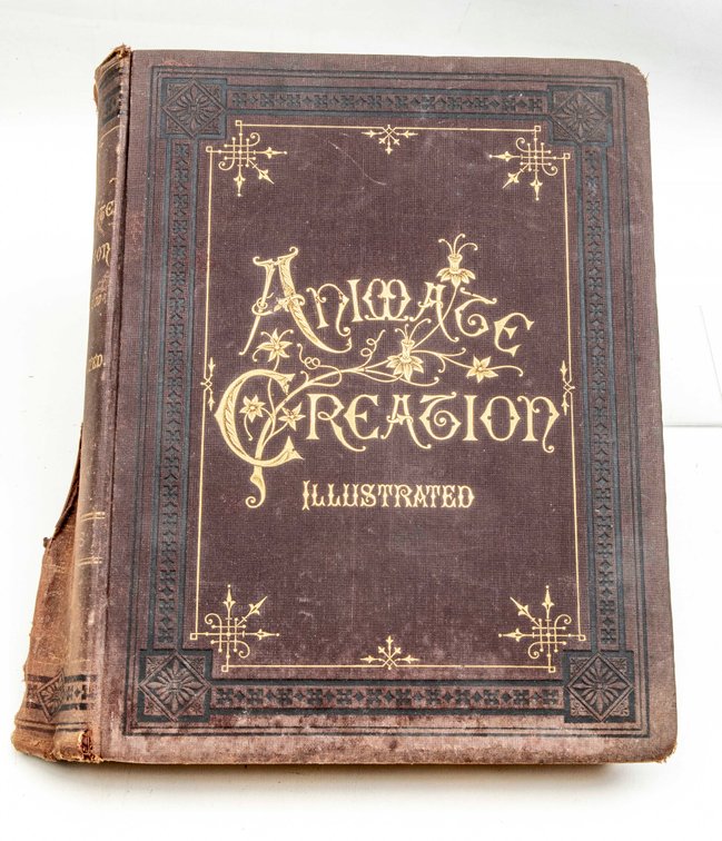 1885 Animate Creation Vol. 2 by Rev. J.G. Wood
