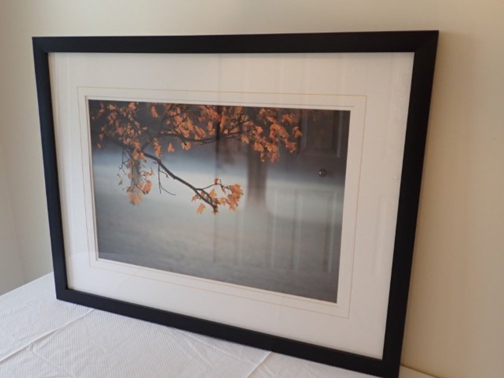 Framed Print