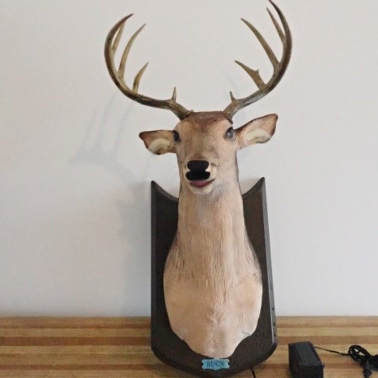 Buck - Sings and Moves