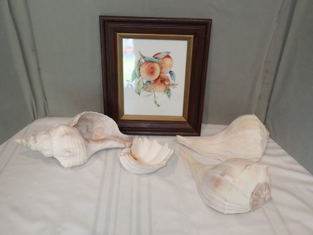 Shells and Painted China