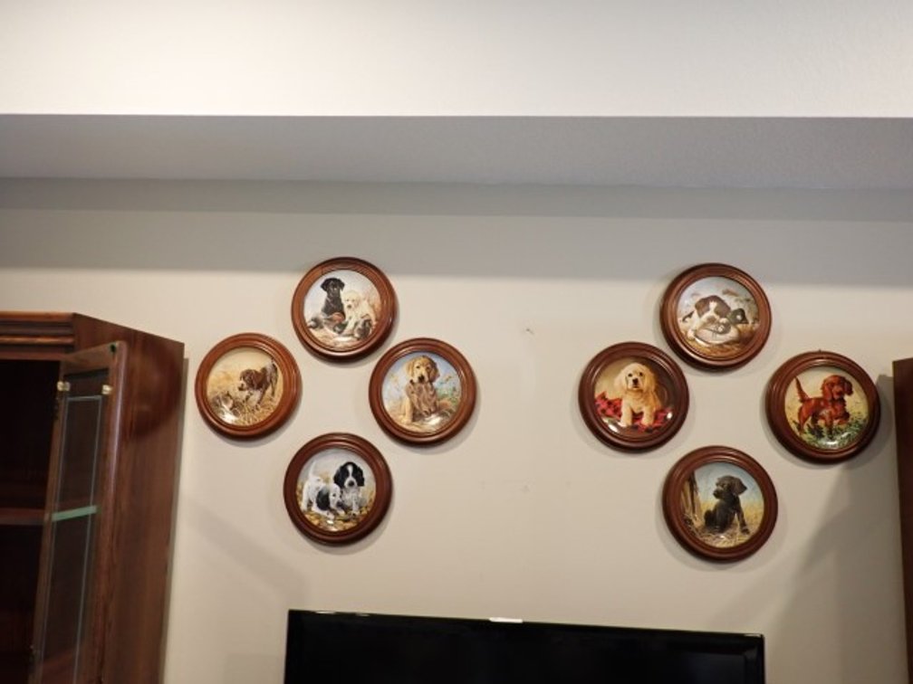8 Dog Plates - framed