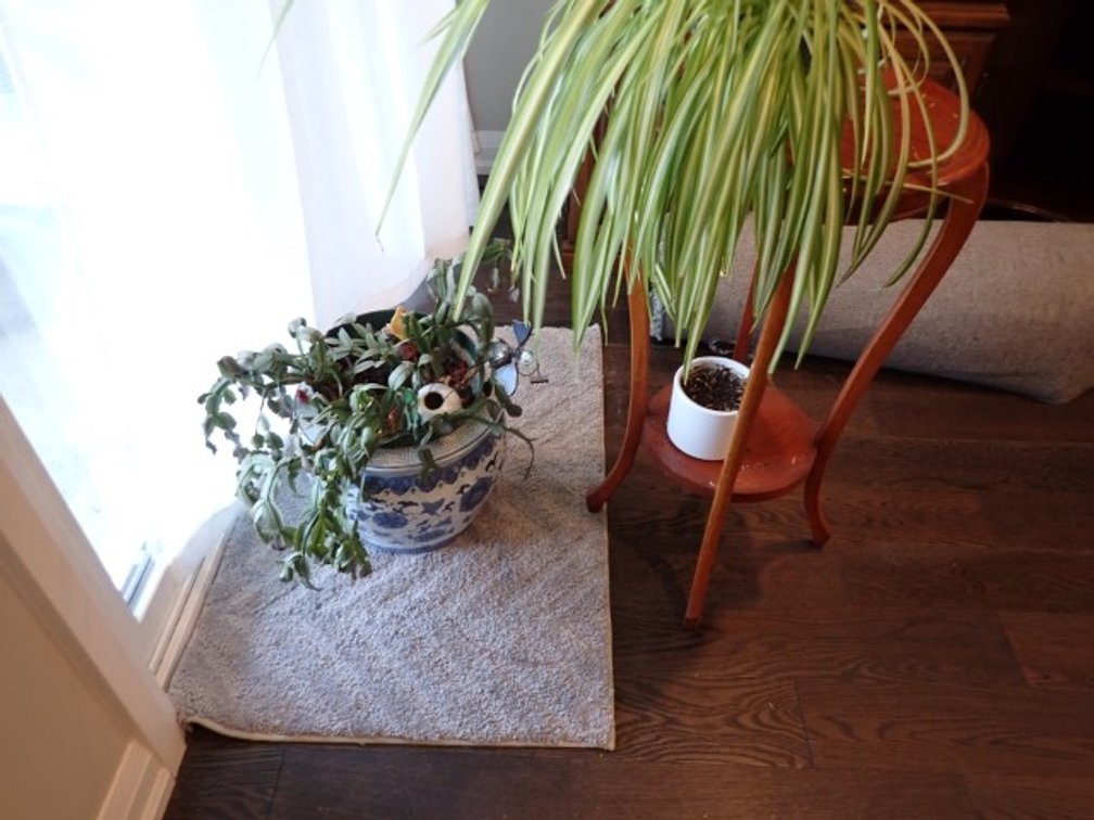 Planters & Stand
