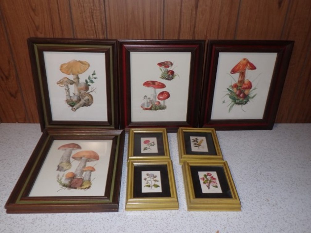 Mushrooms and Flowers