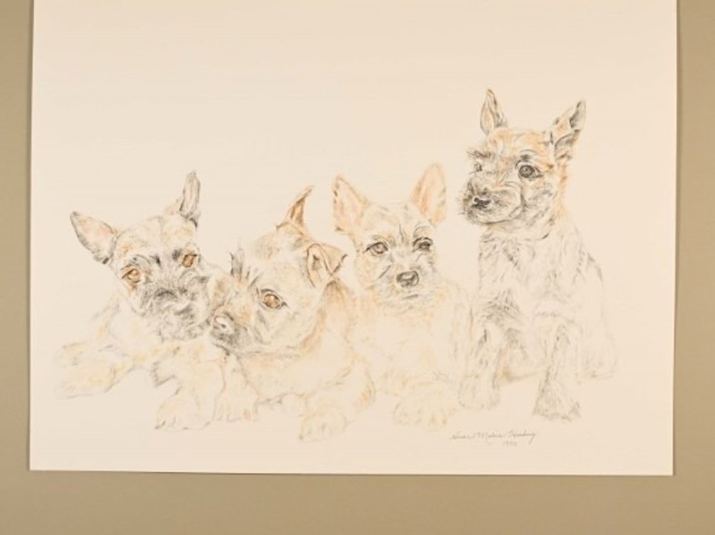 Four Dogs on 140lb watercolour paper