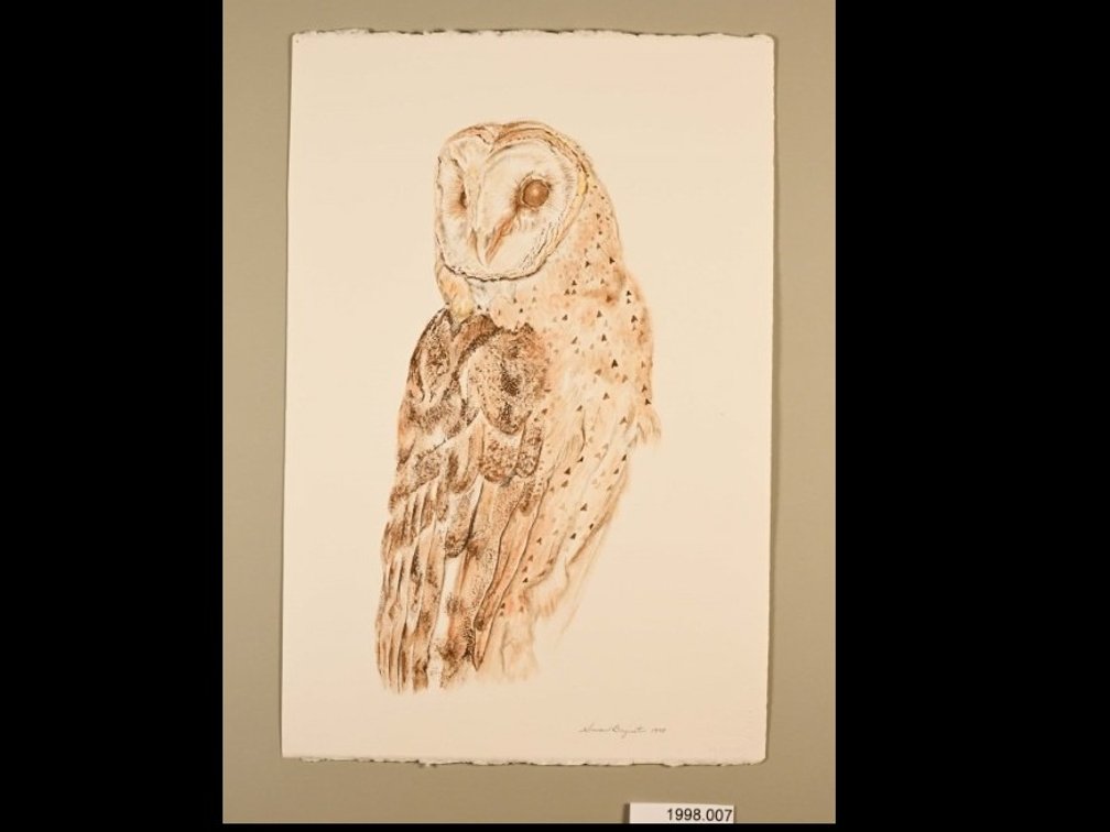 Owl on 140lb watercolour paper
