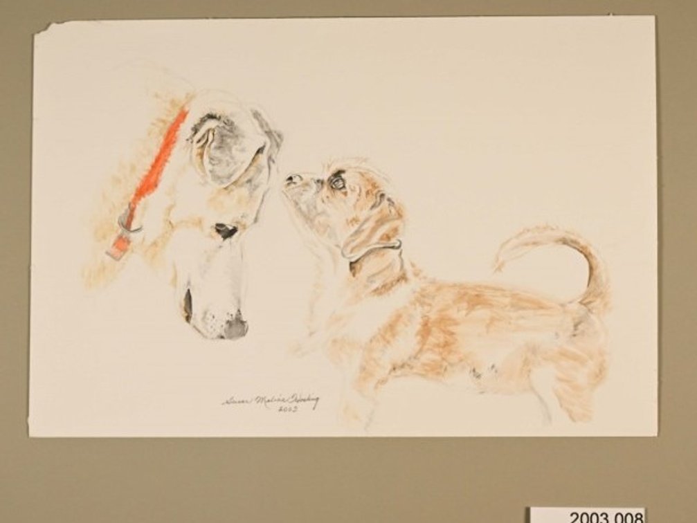 Dog With Orange Colar on 140lb watercolour paper