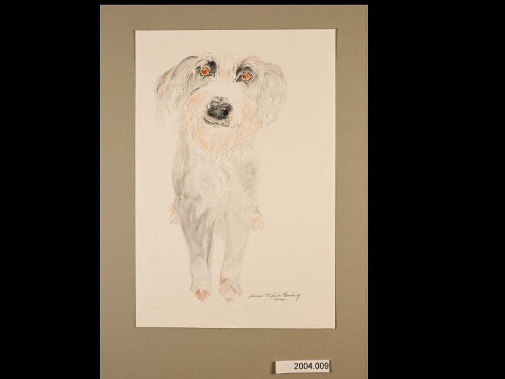 Dog on 140lb watercolour paper