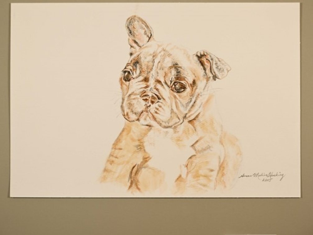 Dog on 140lb watercolour paper
