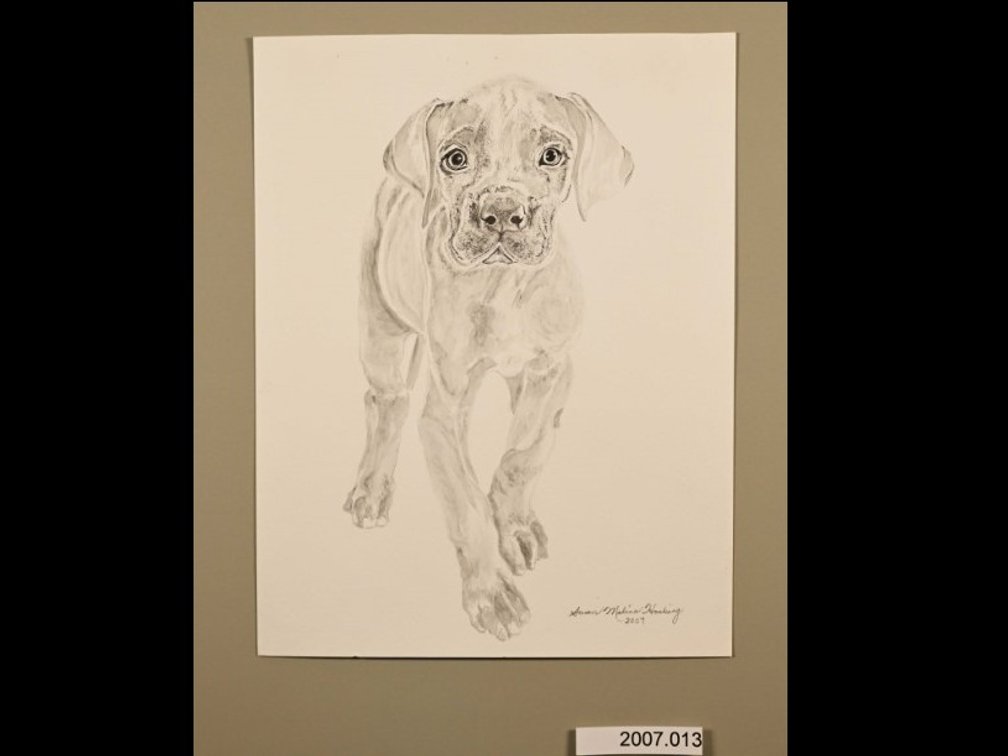 Dog on 140lb watercolour paper