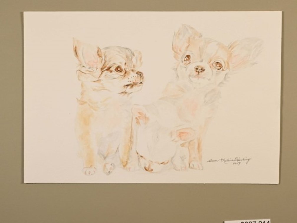 Dog on 140lb watercolour paper