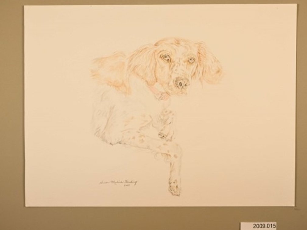 Dog on 140lb watercolour paper