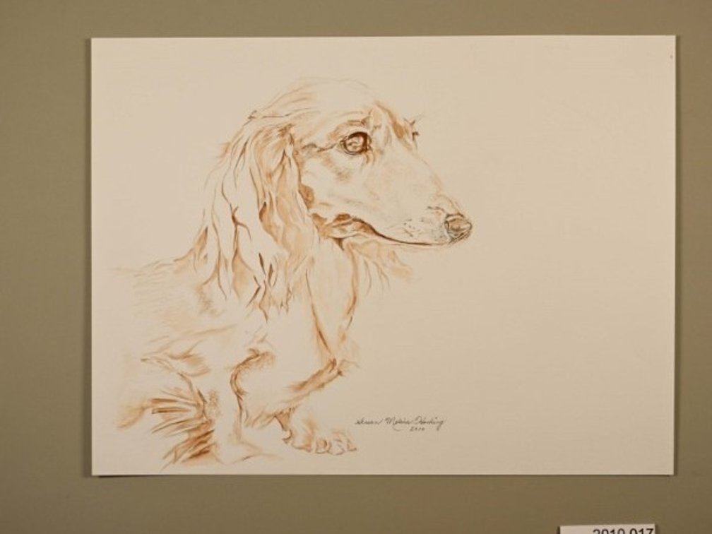 Dog on 140lb watercolour paper