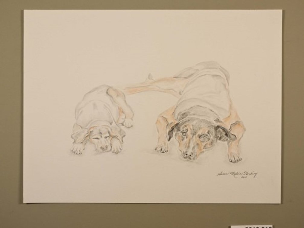 Two Dogs Resting on 140lb watercolour paper