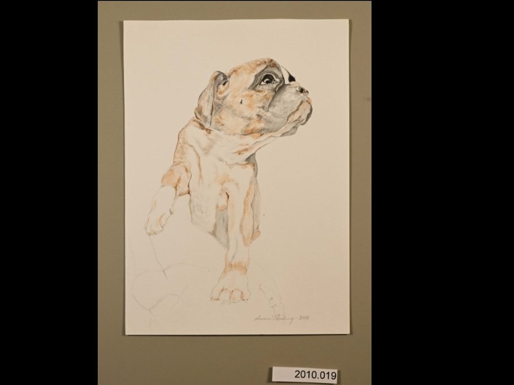 Dog on 140lb watercolour paper