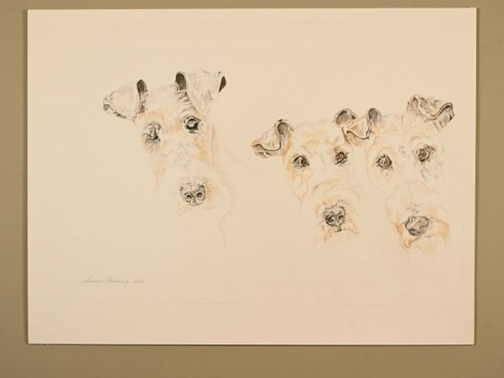 Three Dogs on 140lb watercolour paper