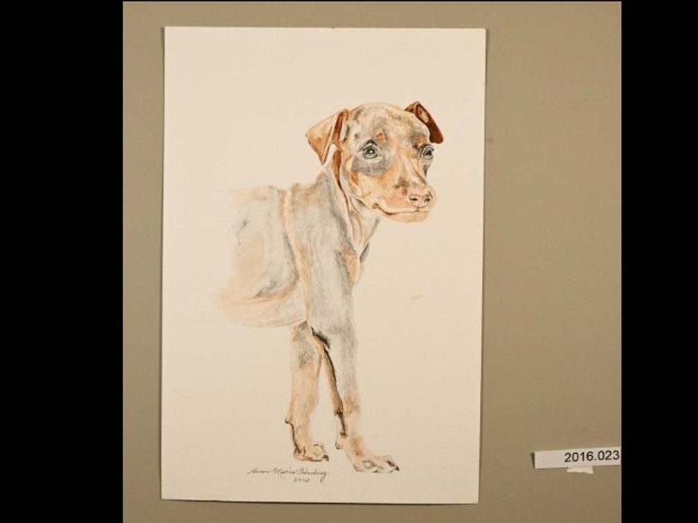 Dog on 140lb watercolour paper