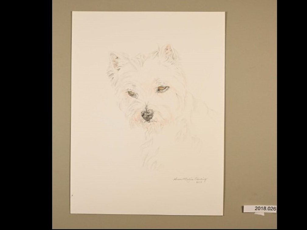 Dog on 140lb watercolour paper