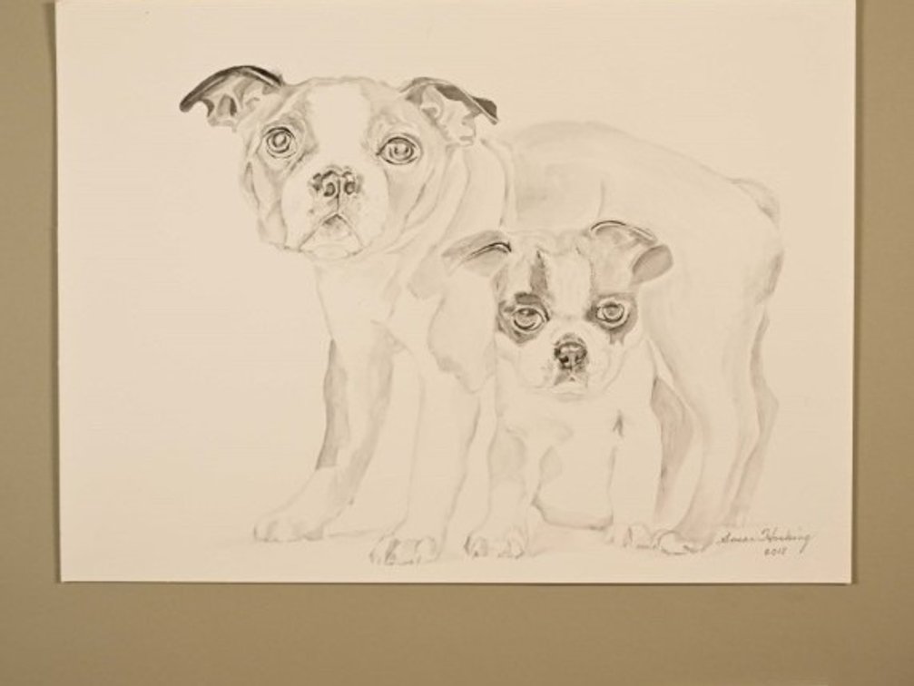 Two Dogs on sketch paper