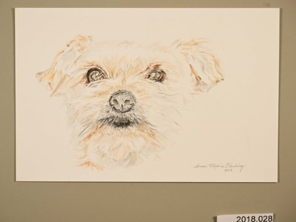Dog on 140lb watercolour paper