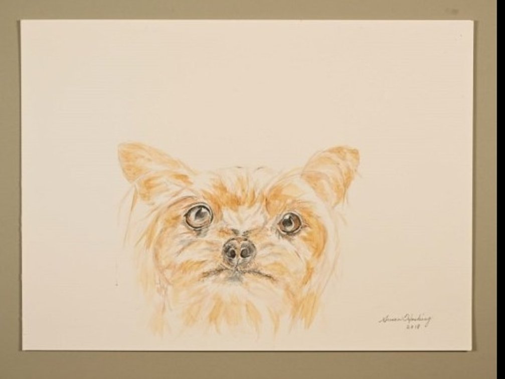 Dog on sketch paper
