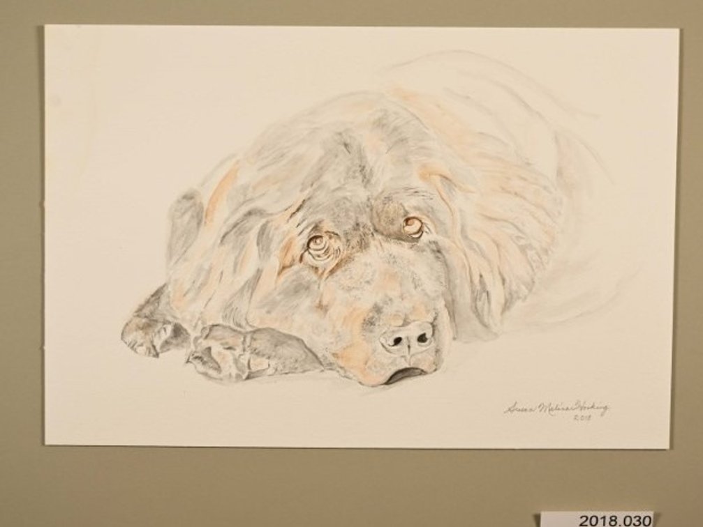 Resting Dog on 140lb watercolour paper