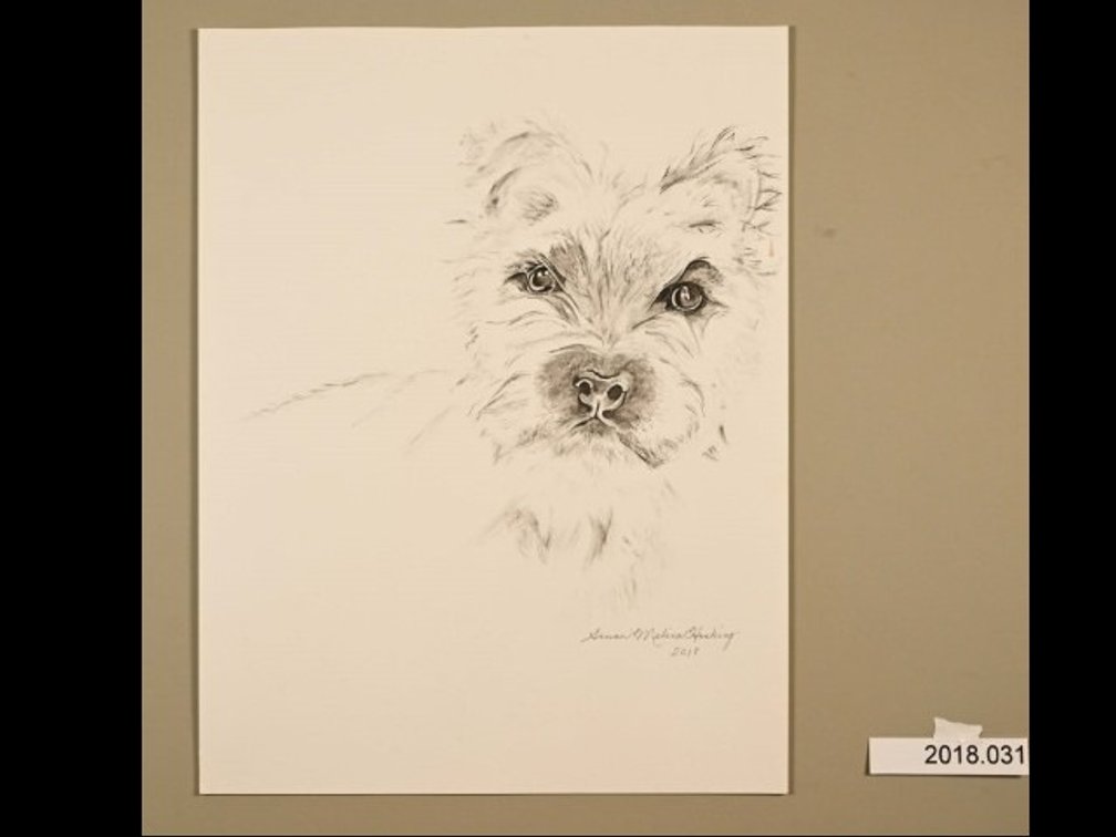Dog on 140lb watercolour paper