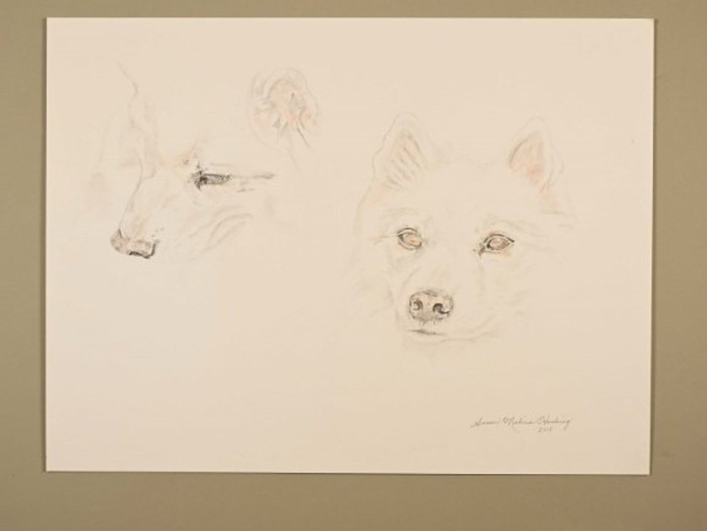 Two Dogs on 140lb watercolour paper