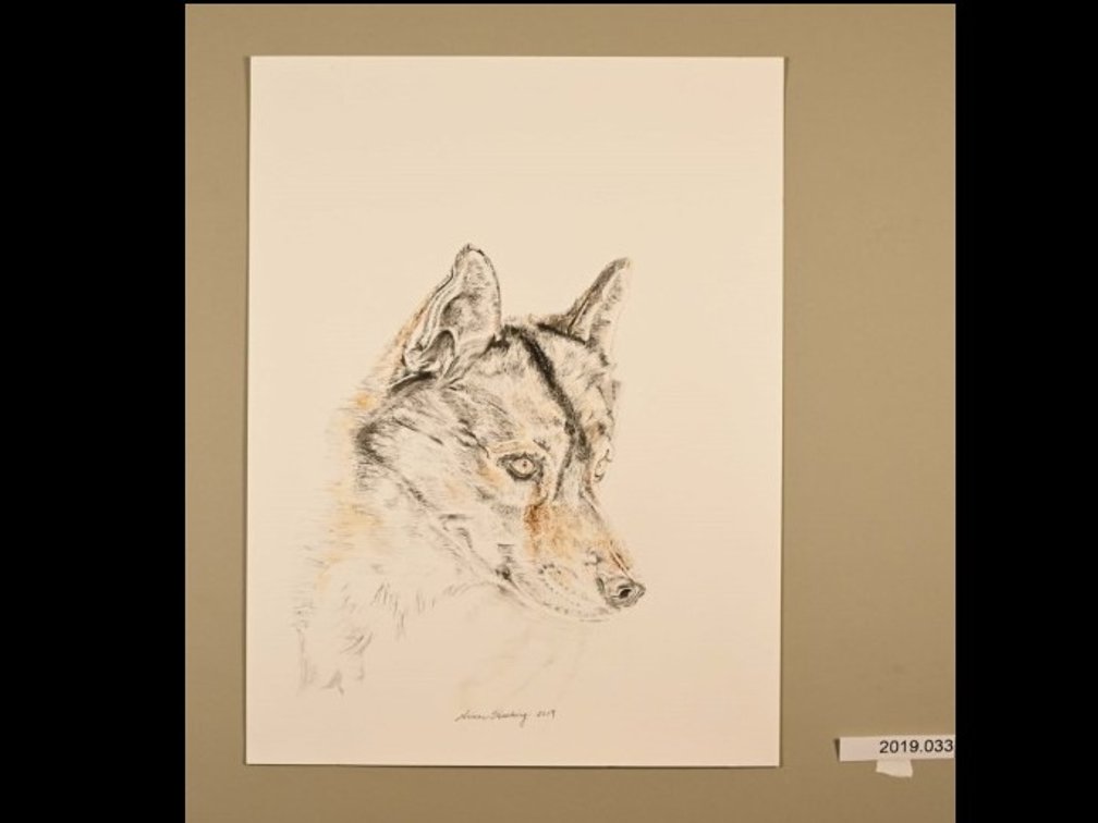Wolf on 140lb watercolour paper