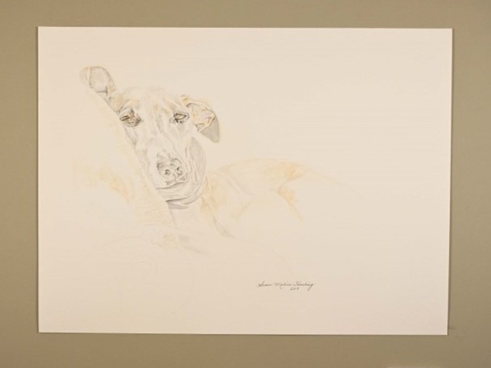 Dog On Pillow on 140lb watercolour paper