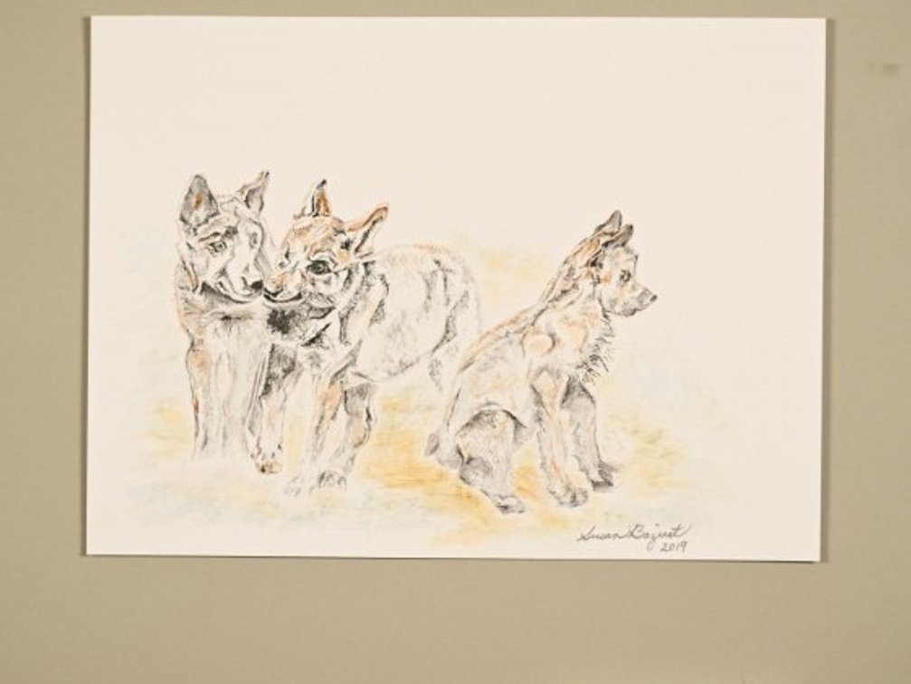 Three Dogs (Susan Bazinet) on 140lb watercolour paper