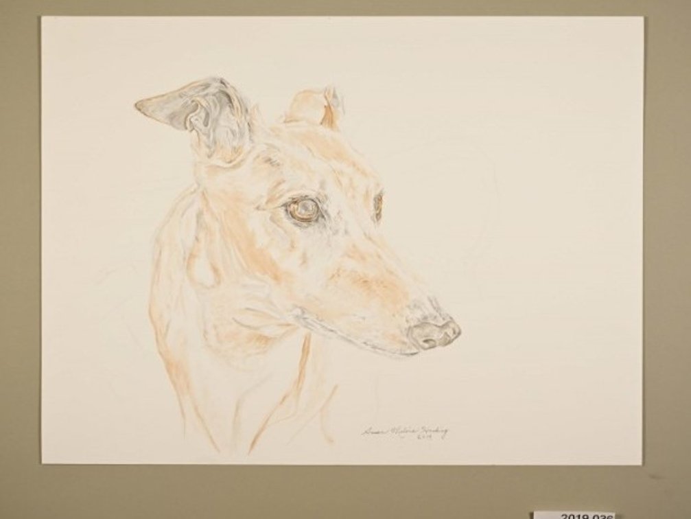 Dog on 140lb watercolour paper
