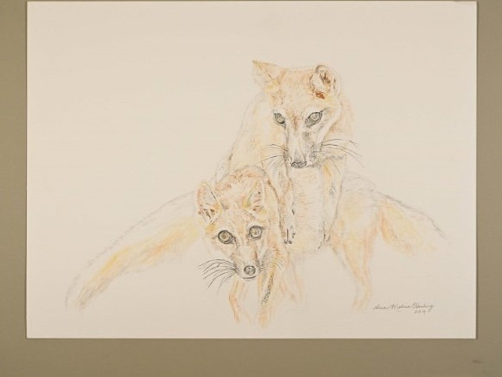 Two Fox on 140lb watercolour paper