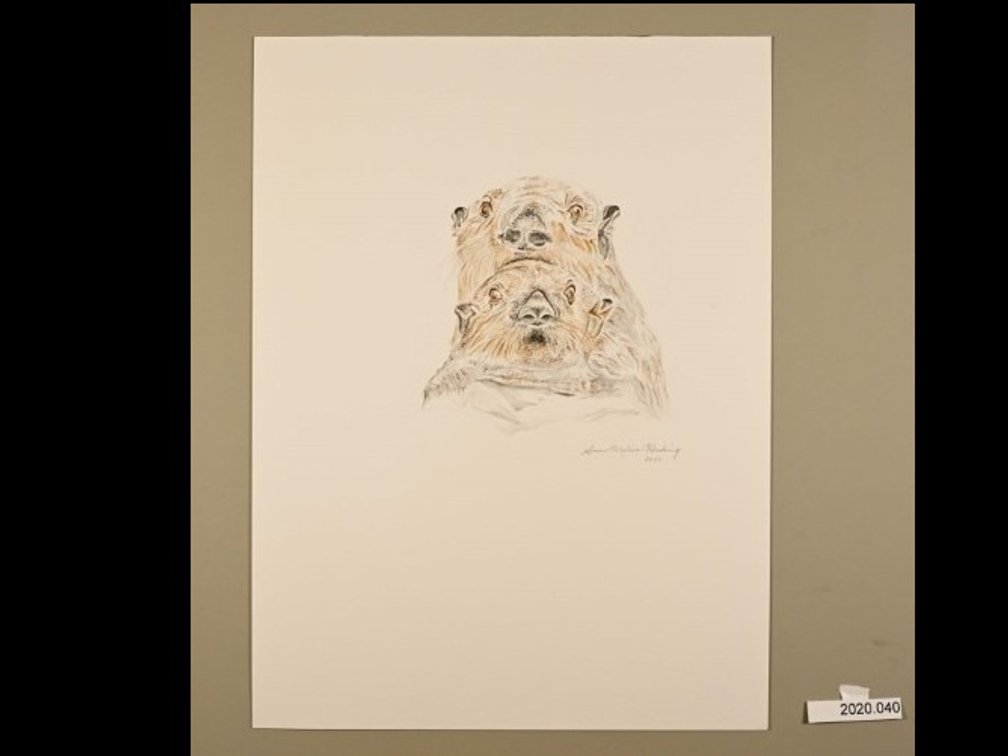 Two Otter on 140lb watercolour paper