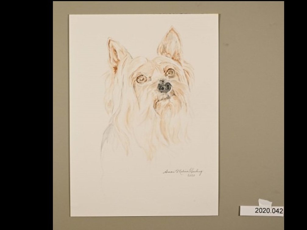 Dog on sketch paper