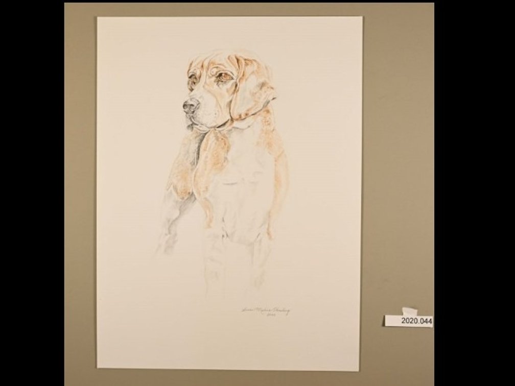Dog on 140lb watercolour paper