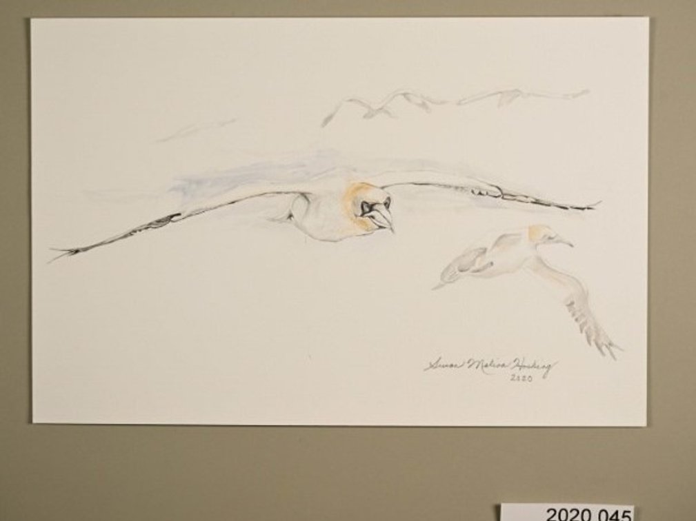 Birds Flying on 140lb watercolour paper