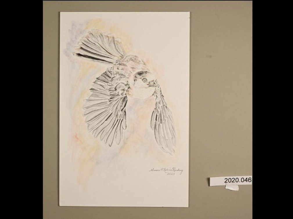 Flying Bird on 140lb watercolour paper