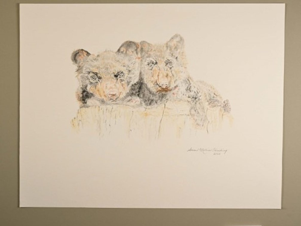 Two Bear Cubs on Rock on 140lb watercolour paper