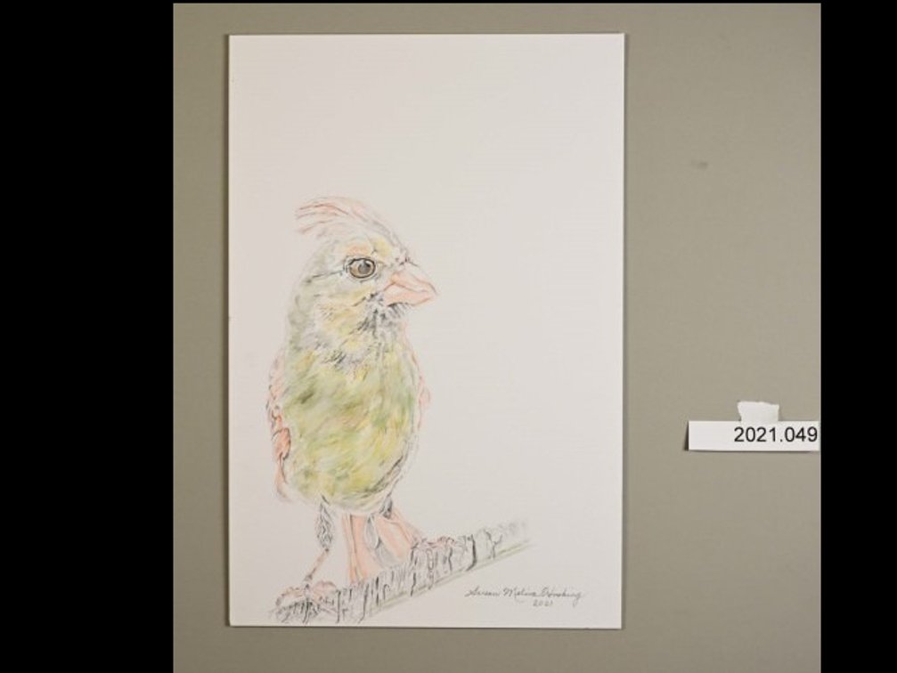 Bird on 140lb watercolour paper