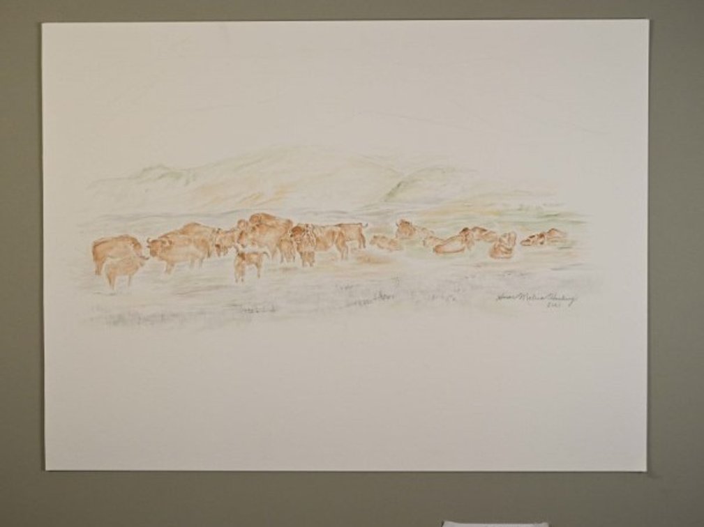 Bison on 140lb watercolour paper