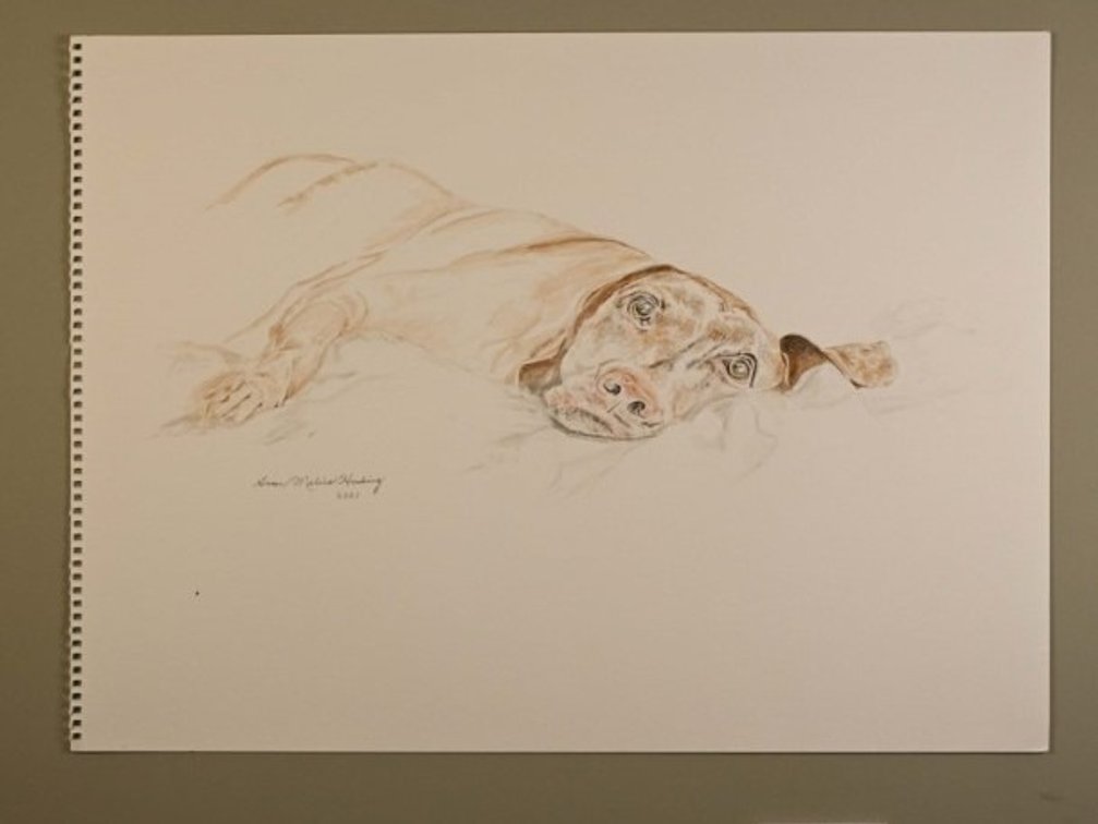 Resting Dog on 140lb watercolour paper
