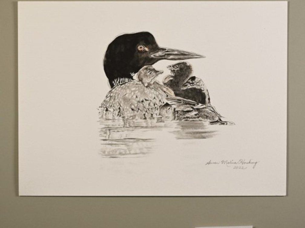 Loon With Babies on 140lb watercolour paper