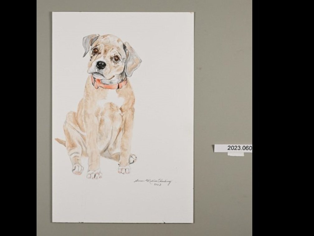 Dog With Orange Collar on 140lb watercolour paper
